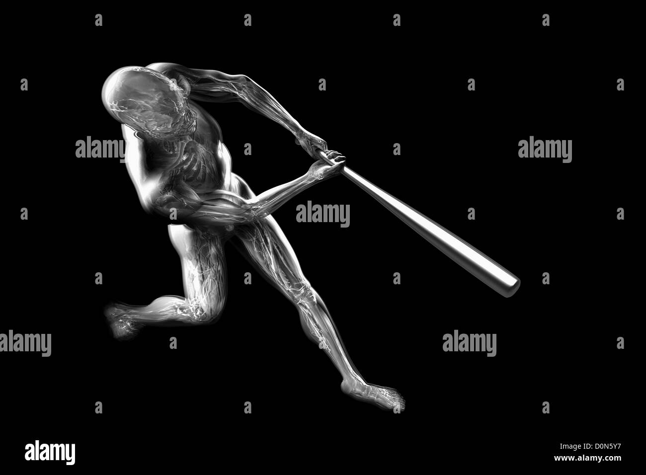 Male figure swinging a baseball bat. The internal anatomy is visible