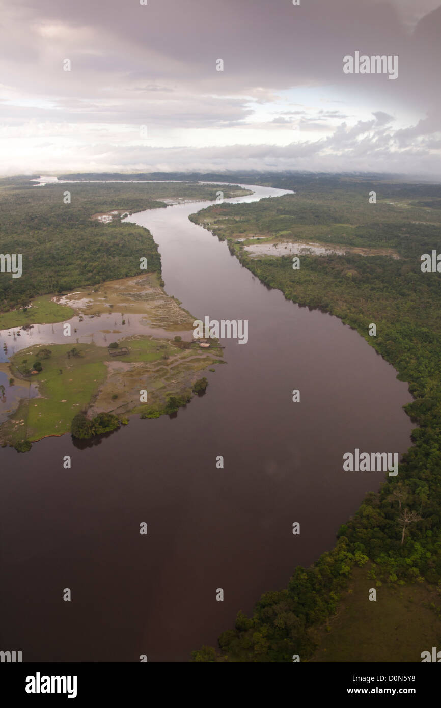 aerial shots from Amapa state forest, north Brazil, on the way from MAcapa to Amapazinho, shore place. Stock Photo