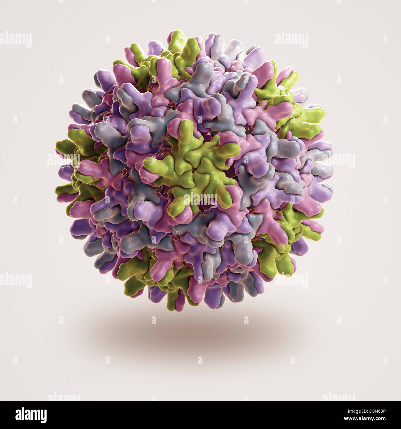 Structure Hepatitis B virus (HBV) (PDB 1QGT) species genus Orthohepadnavirus which is part Hepadnaviridae family viruses. Stock Photo