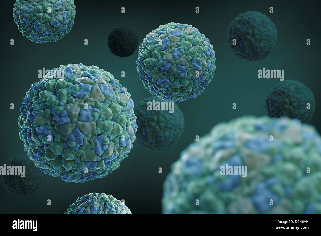 Structure footandmouth disease virus (1BBT) which is pathogen that