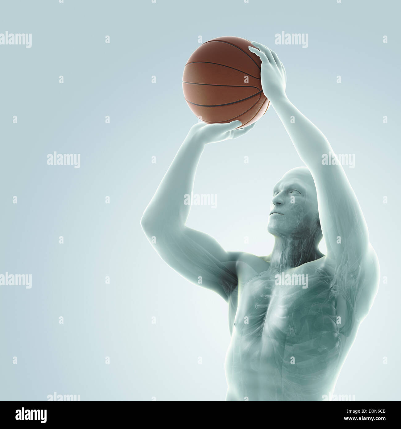 Male figure jumping with a basketball about to take a shot. The internal anatomy is visible within the body. Stock Photo