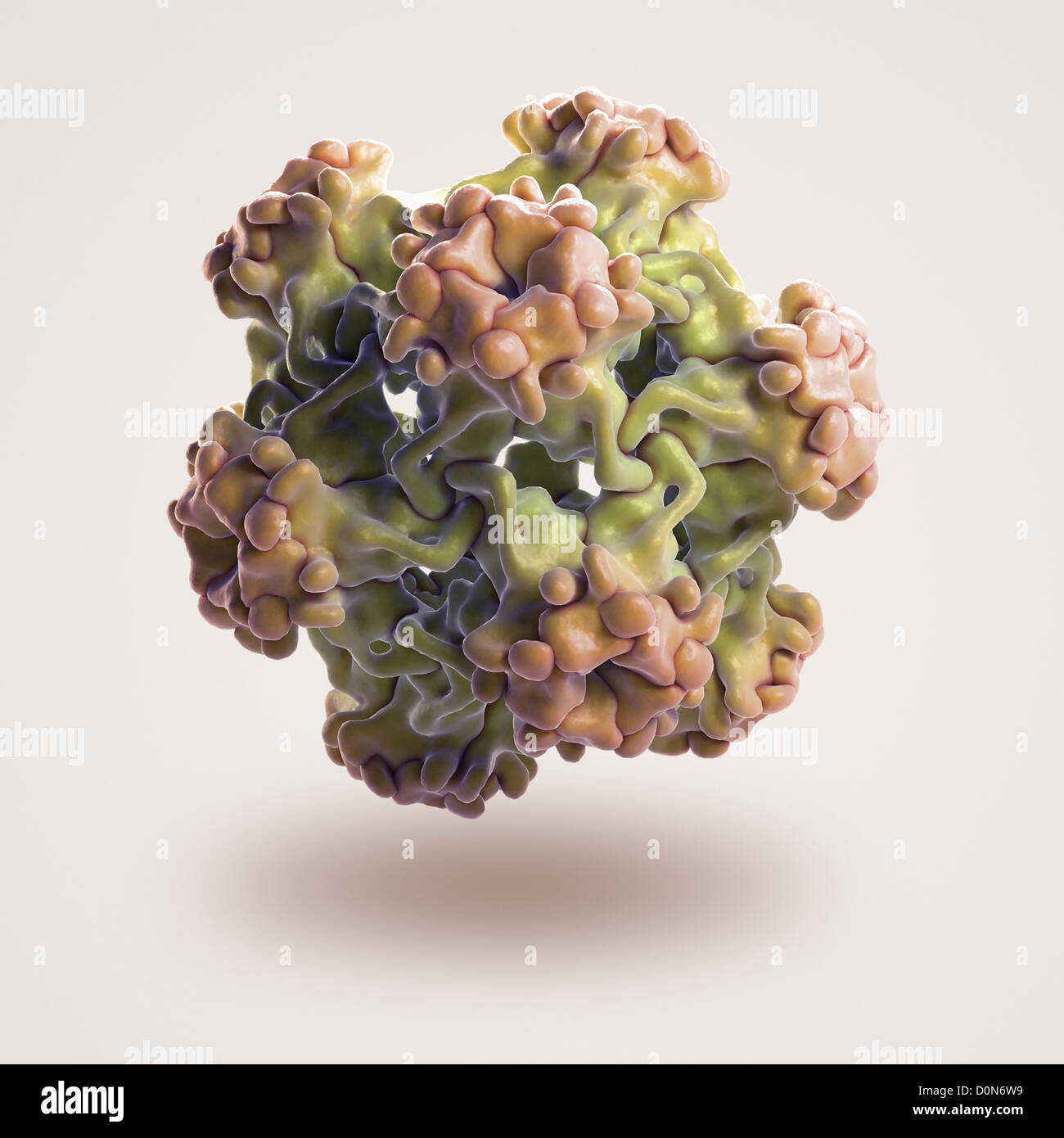 Structure small virus-like particles assembled L1 protein human papillomavirus 16 (PDB 1DZl) family Papillomaviridae. Stock Photo