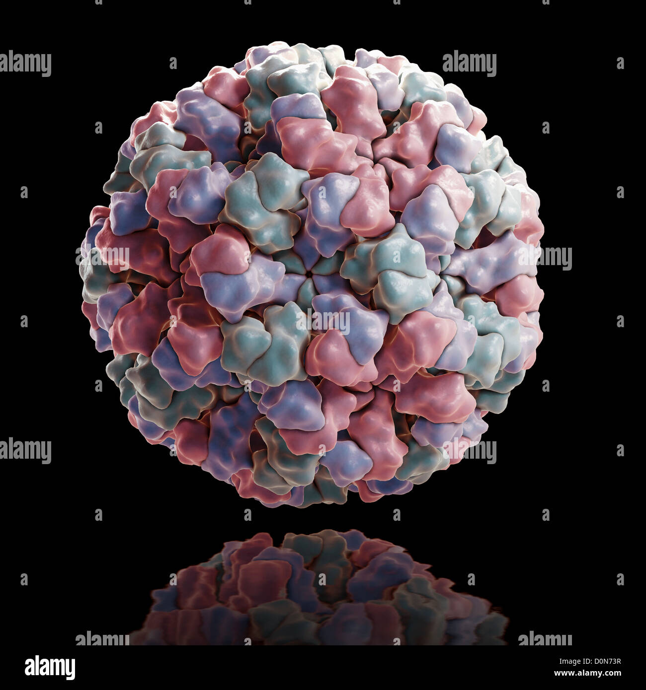 Structure Norwalk virus (1HIM) RNA virus family Caliciviridae major cause epidemic gastroenteritis in humans. Stock Photo
