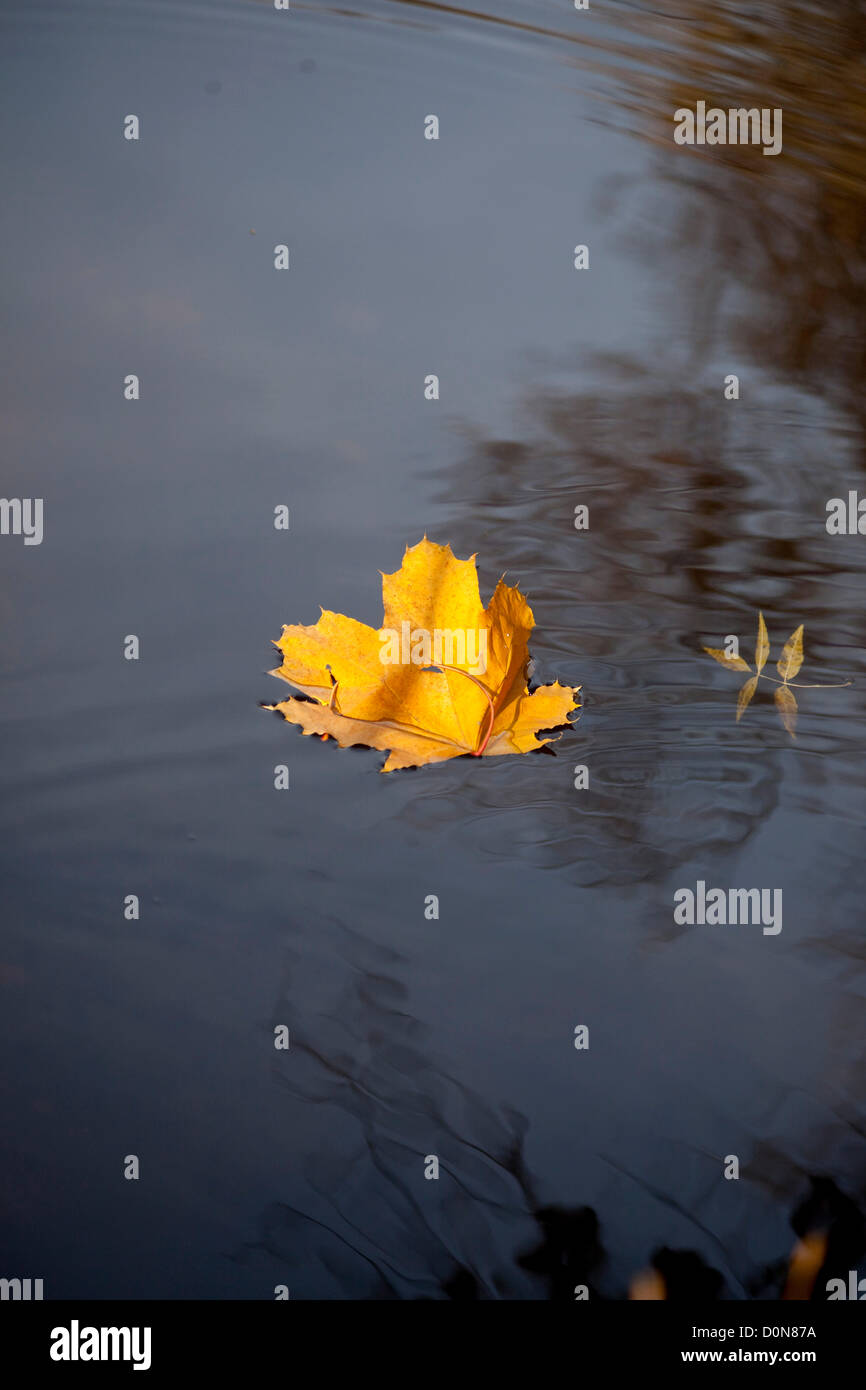 Fall background from Varna, Bulgaria Stock Photo