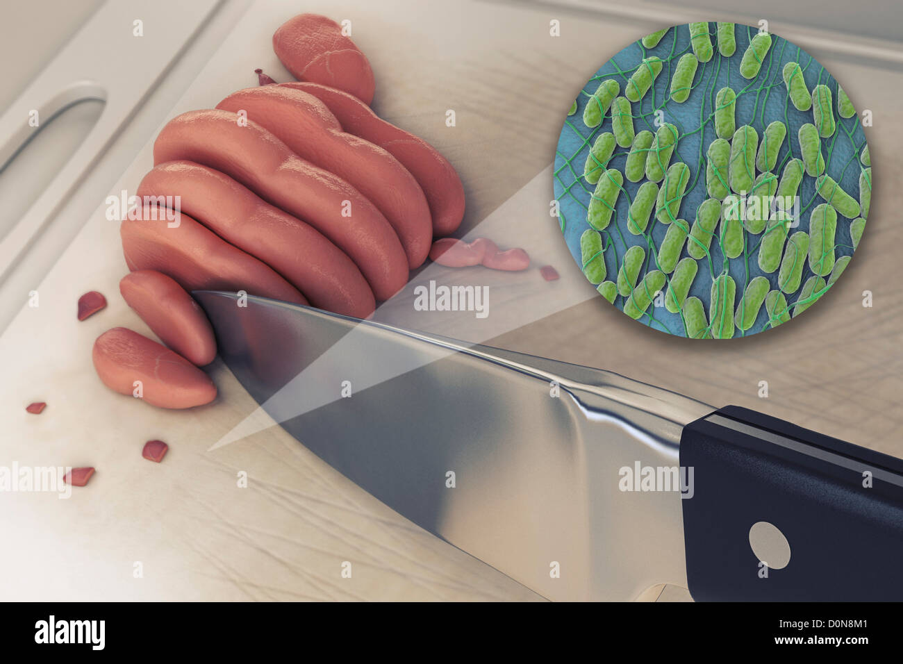 A collection Salmonella bacteria zoomed out surface cutting board raw chicken. Salmonella is genus rod-shaped Gram-negative Stock Photo