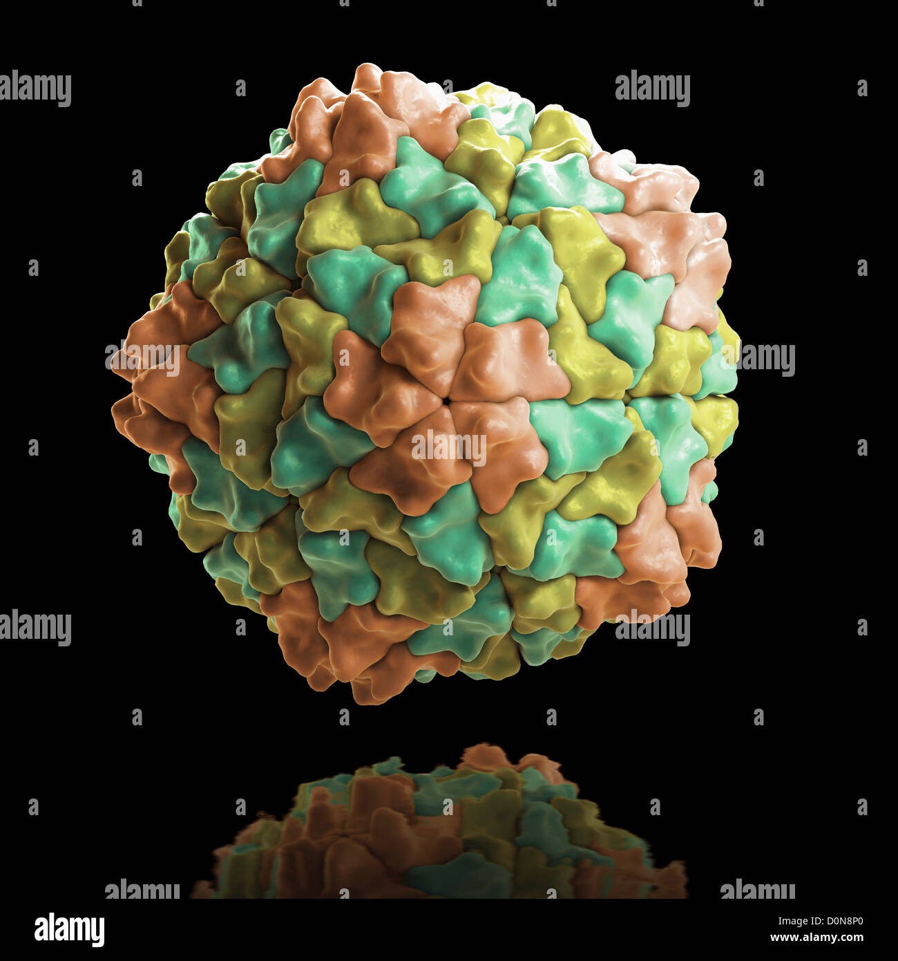Structure Rice Yellow Mottle Virus (PDB 1F2N). genus Sobemovirus RYMV is major pathogen that dramatically reduces rice Stock Photo