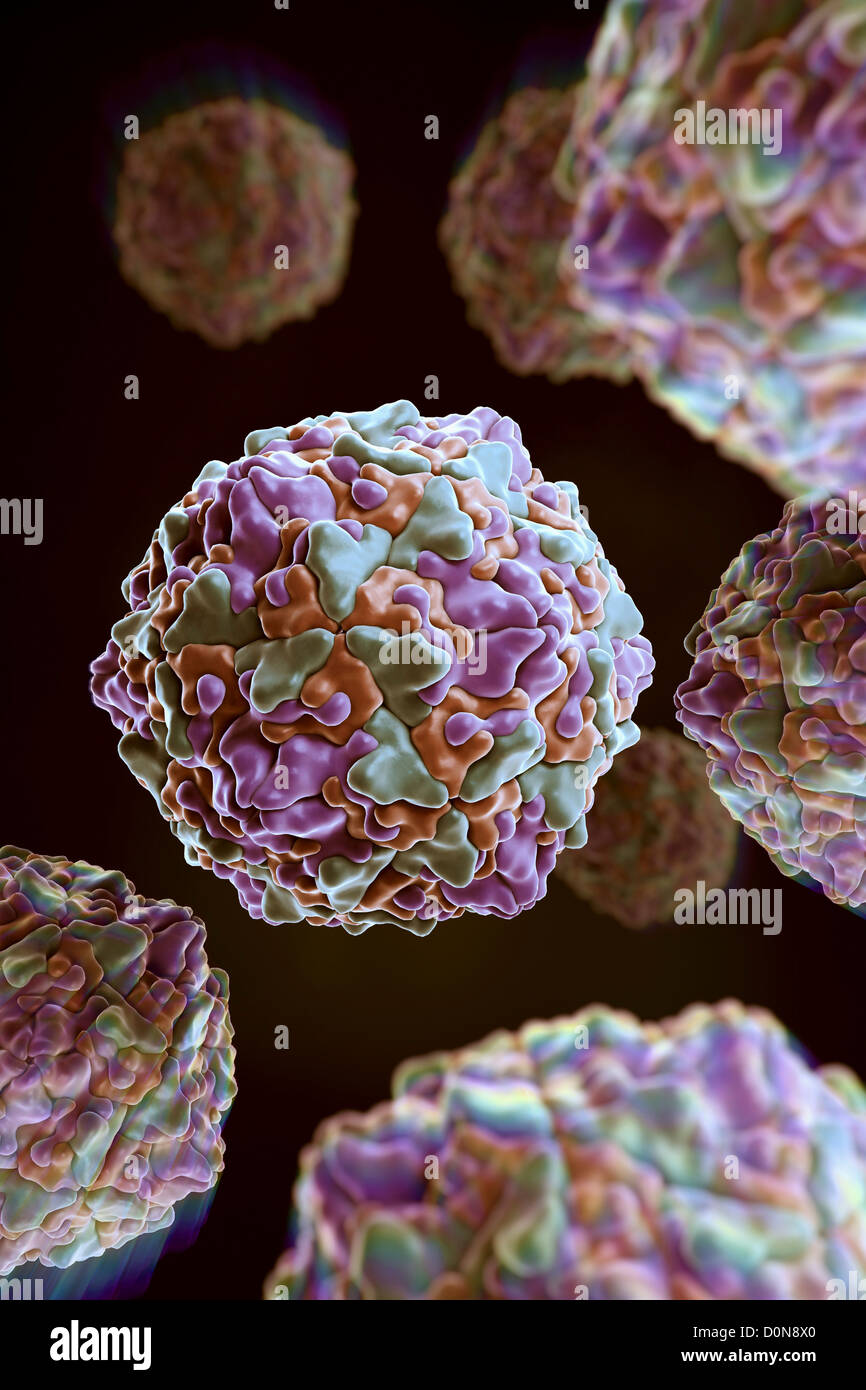 Coxsackievirus hires stock photography and images Alamy