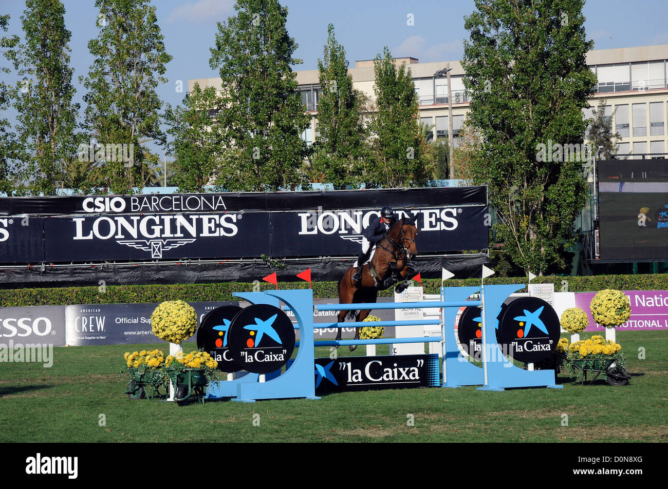 horse with rider jumping an obstacle during the CSIO, International
