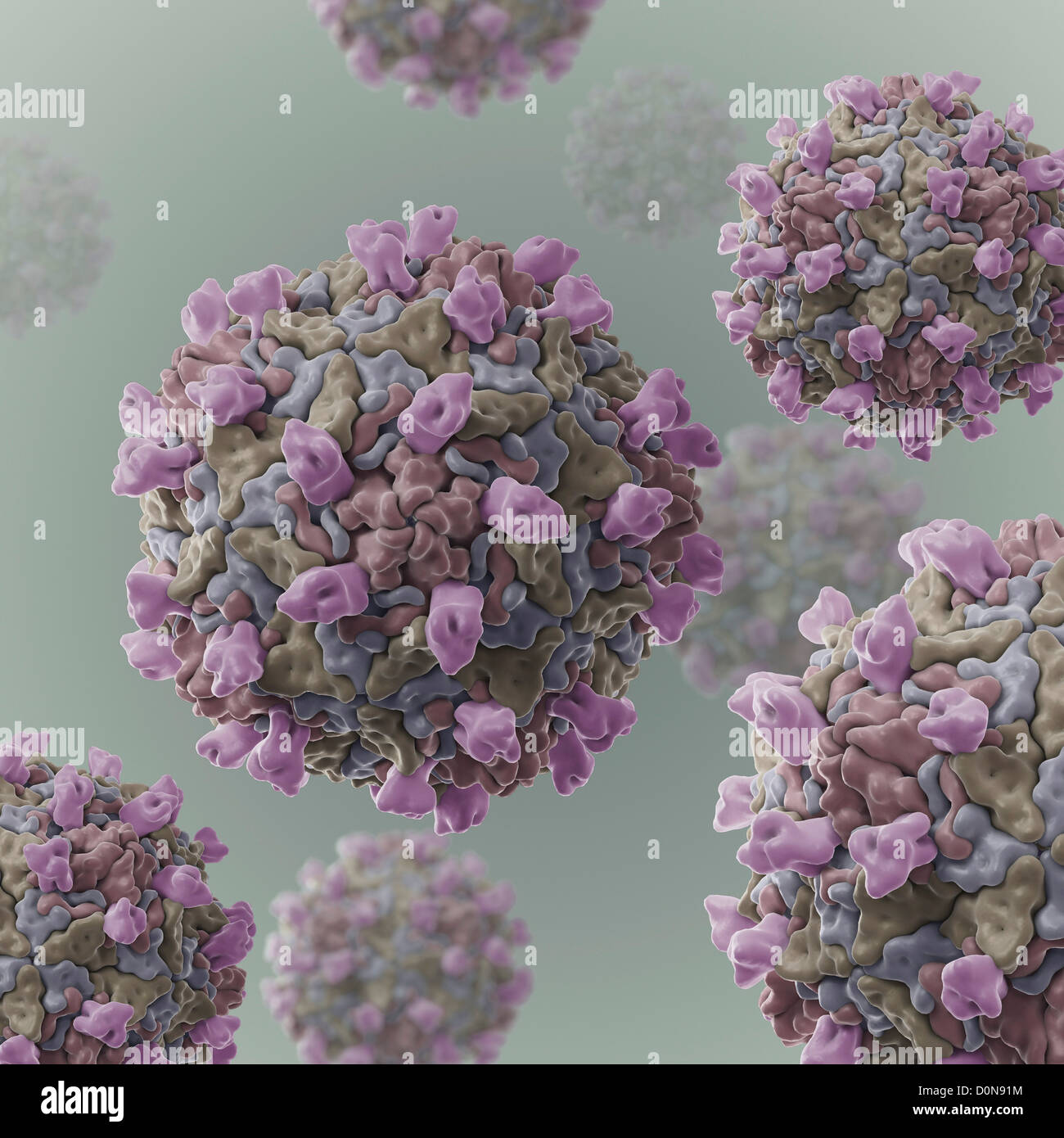 Cryoem structure group B coxsackievirus m strain it's cellular receptor (PDB 1JEW). Group B