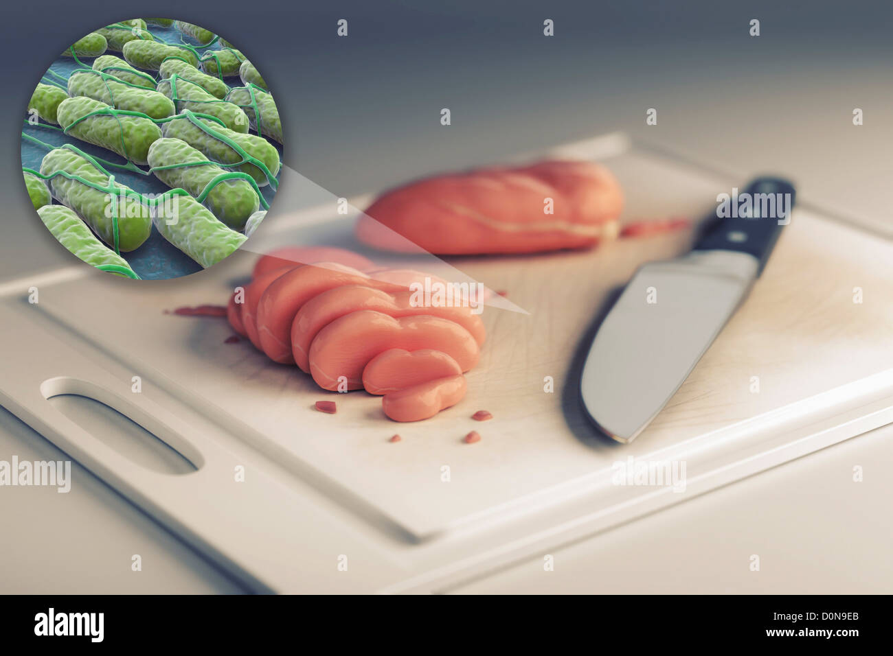 A collection Salmonella bacteria zoomed out surface cutting board raw chicken. Salmonella is genus rod-shaped Gram-negative Stock Photo