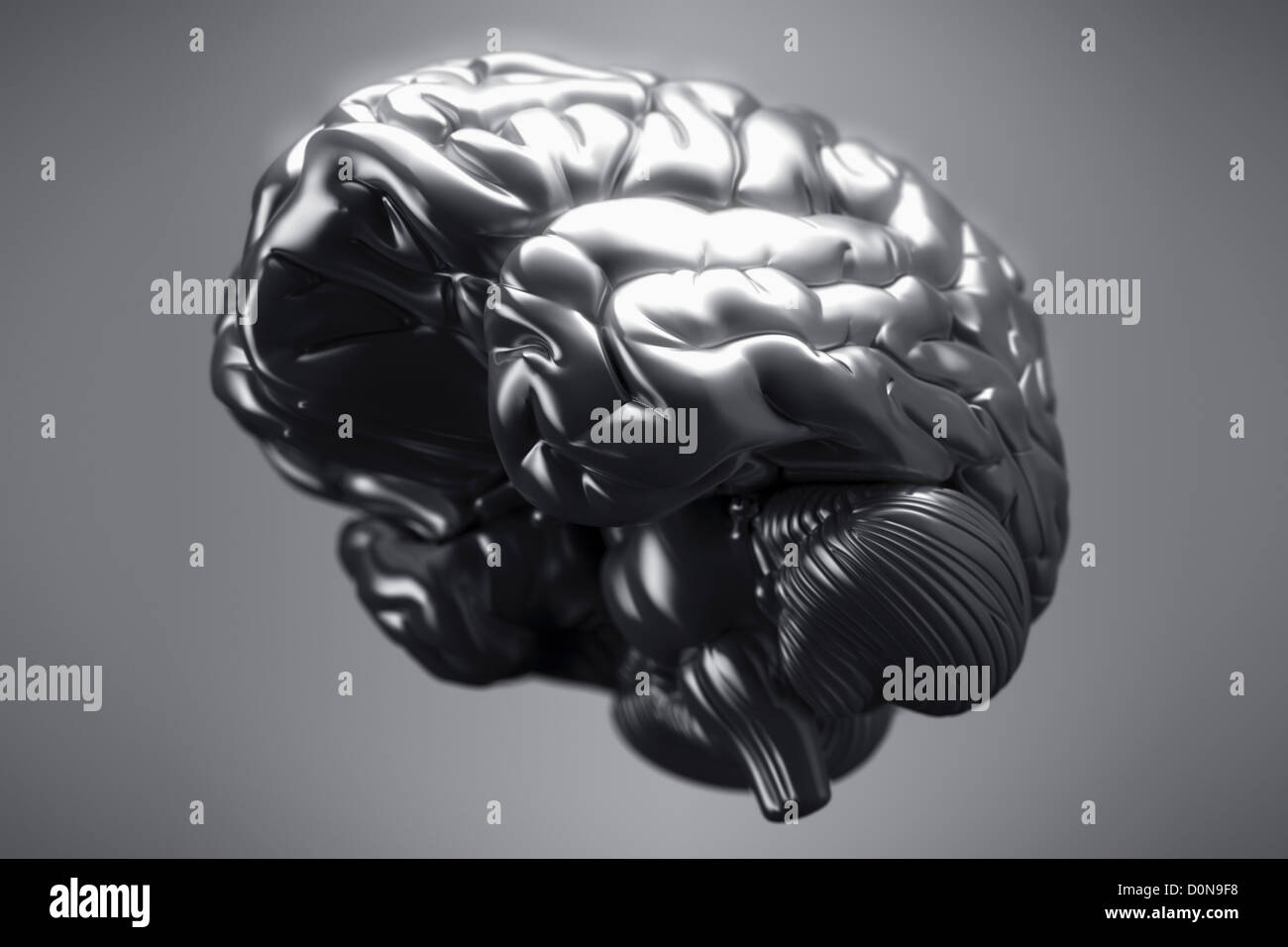 An inferior view of a metallic brain. The cerebral hemispheres, cerebellum and brain stem are visible. Stock Photo