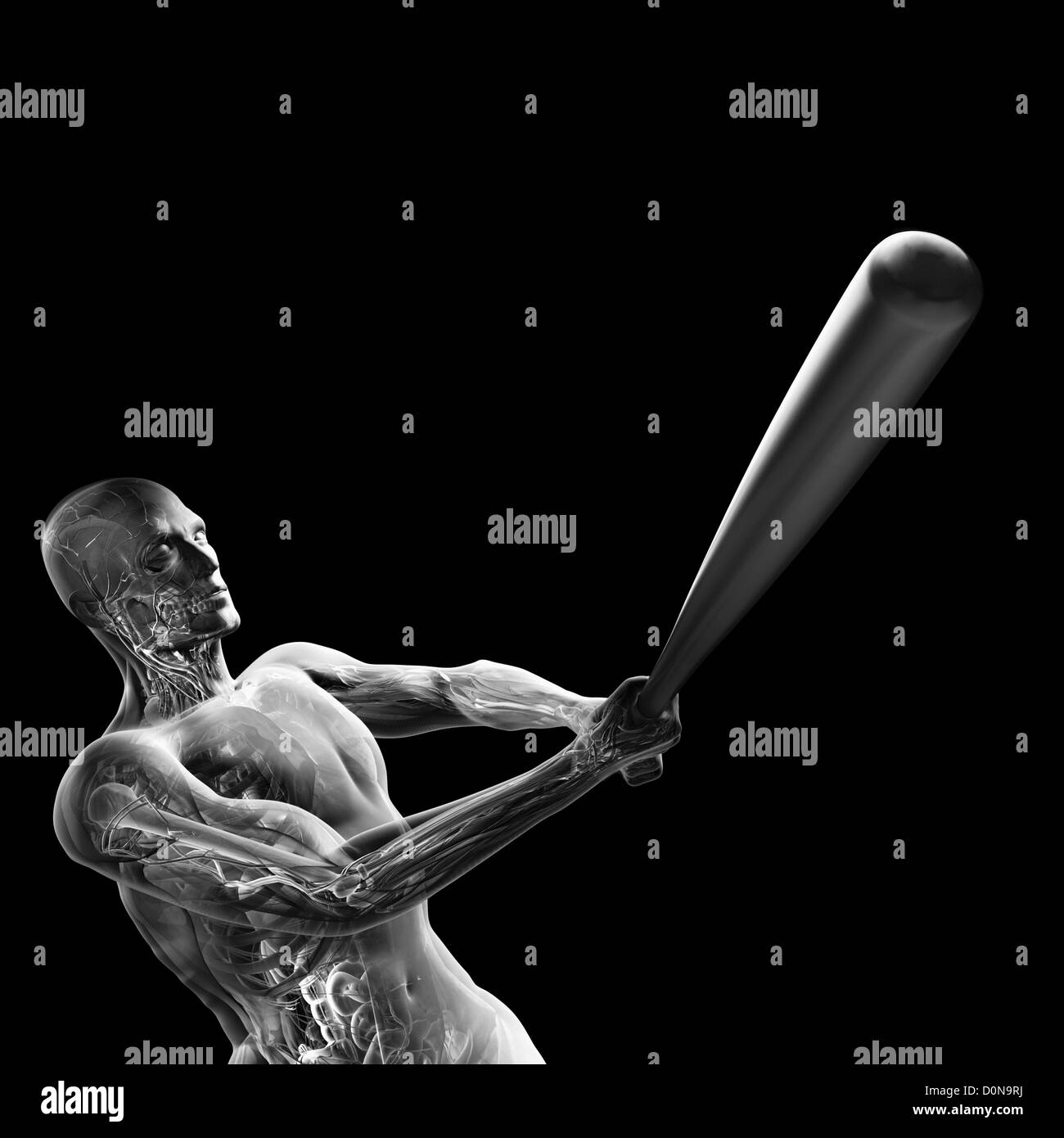 Male figure swinging a baseball bat. The internal anatomy is visible within the body. Stock Photo