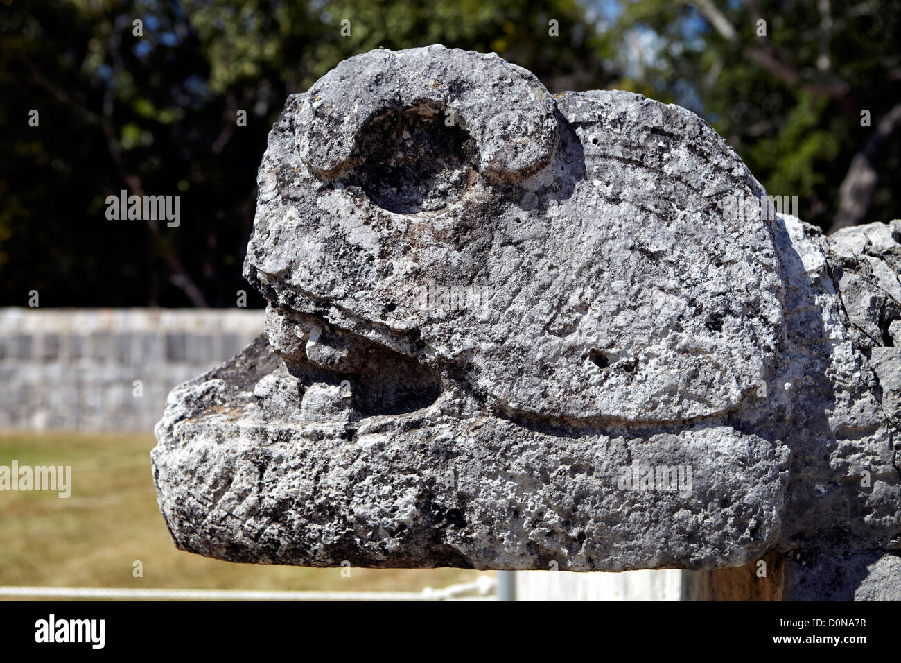 Stone Serpent head at The Great Ball court at Chichen Itza used for playing the Mesoamerican ballgame. Stock Photo