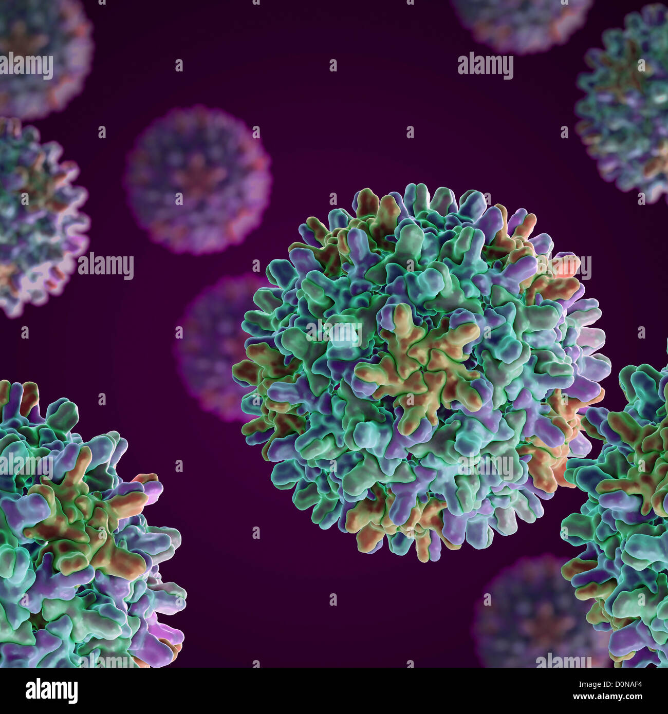Structure Hepatitis B virus (HBV) (PDB 1QGT) species genus Orthohepadnavirus which is part Hepadnaviridae family viruses. Stock Photo