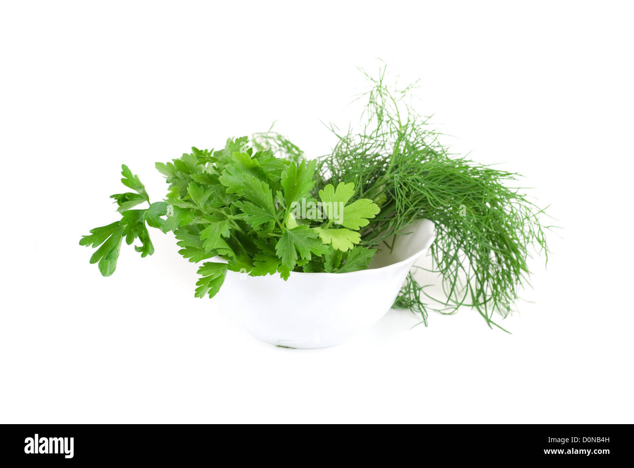 dill and parsley Stock Photo Alamy