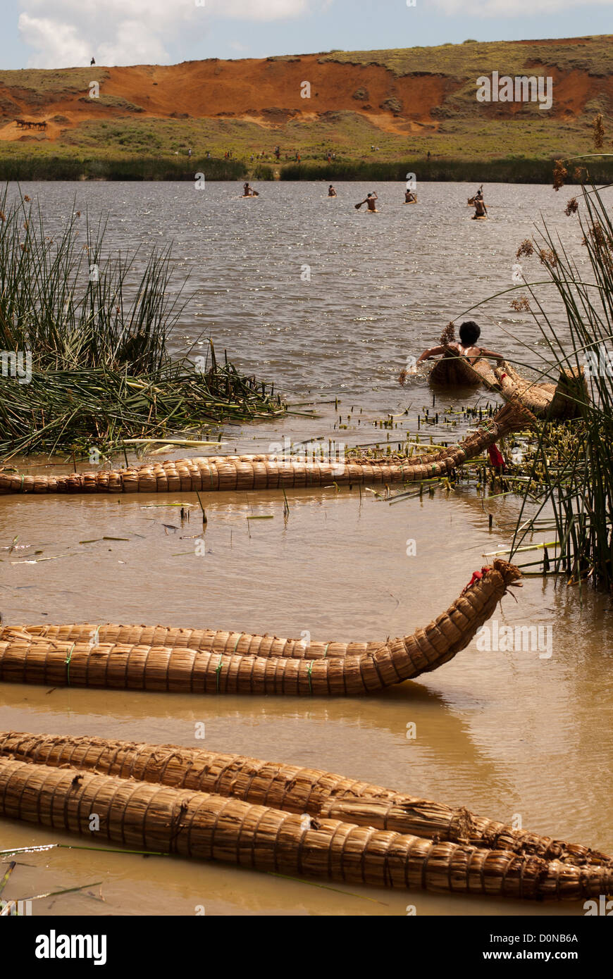 Banana race Tapati festival Stock Photo Alamy