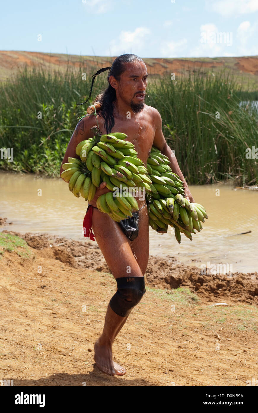 Banana race Tapati festival Stock Photo Alamy