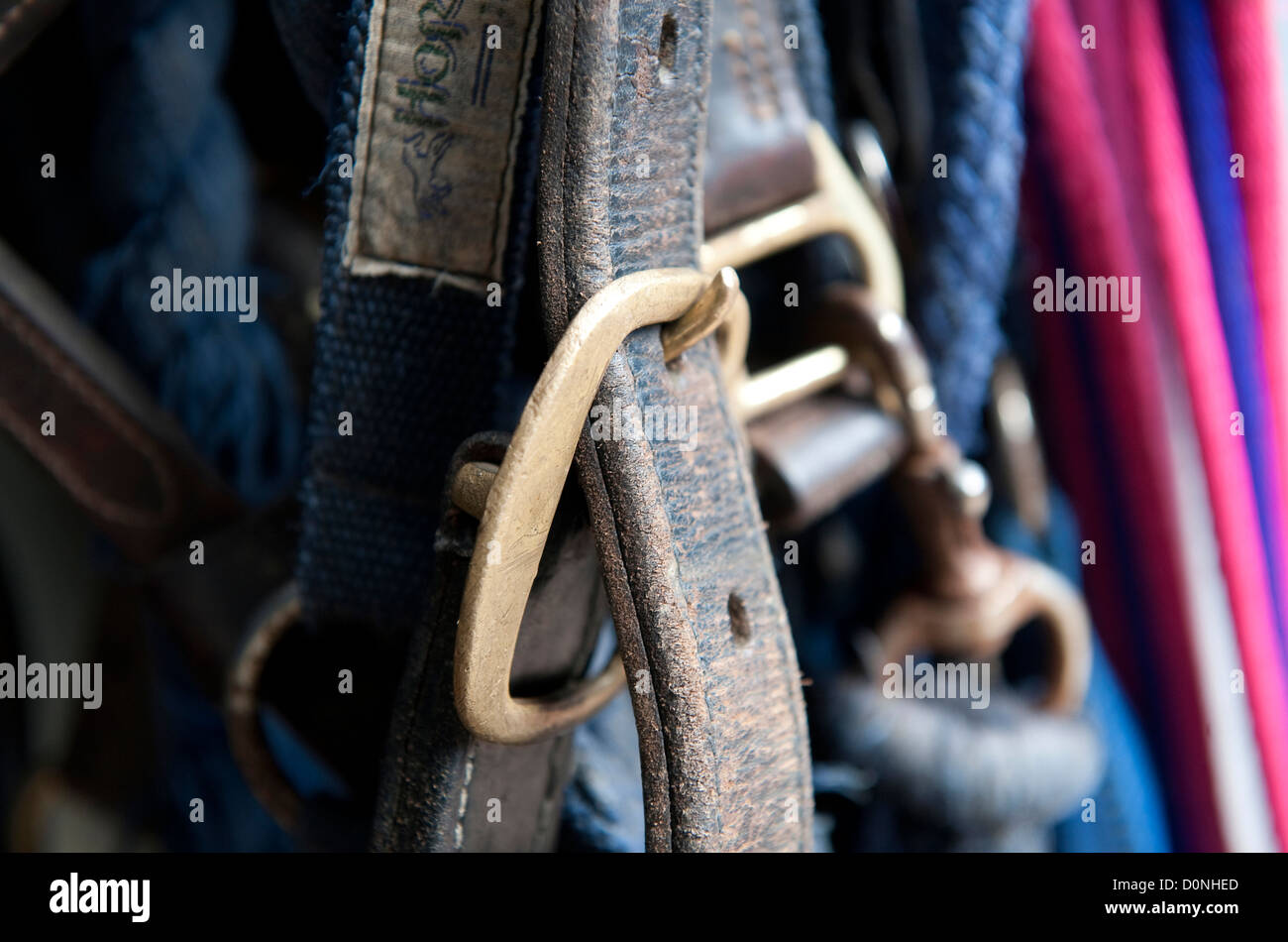 close up of horse riding tack Stock Photo Alamy