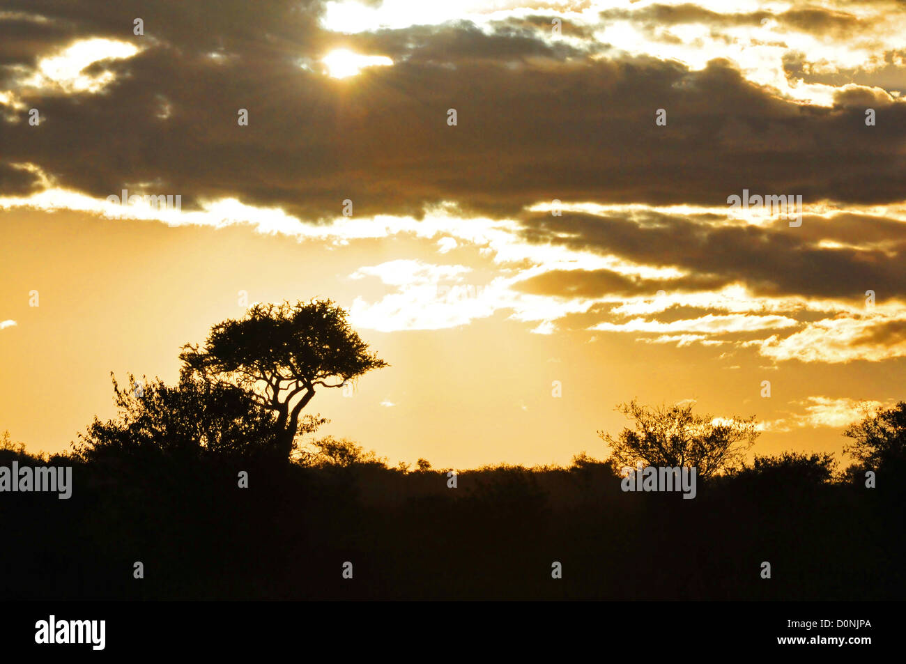 African sunset masai mara hi-res stock photography and images - Alamy