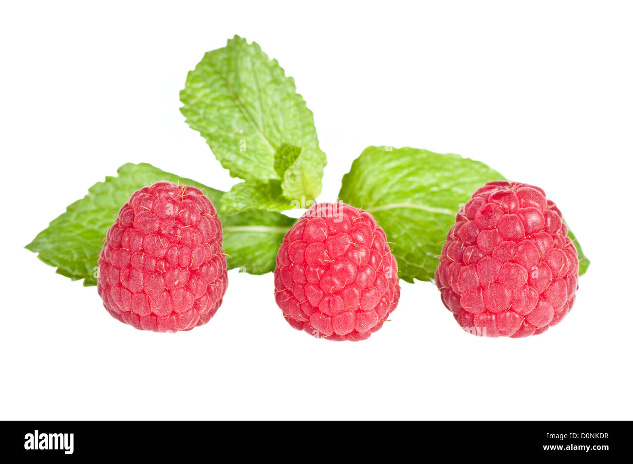 Raspberry over a white background Stock Photo