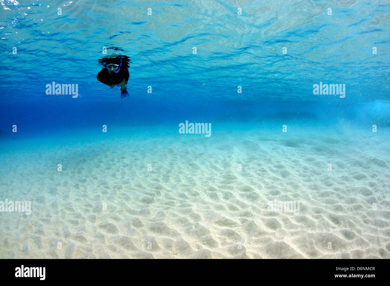 Snorkeler Enjoys Crystal Clear Waters Close To Coast Makua Beach