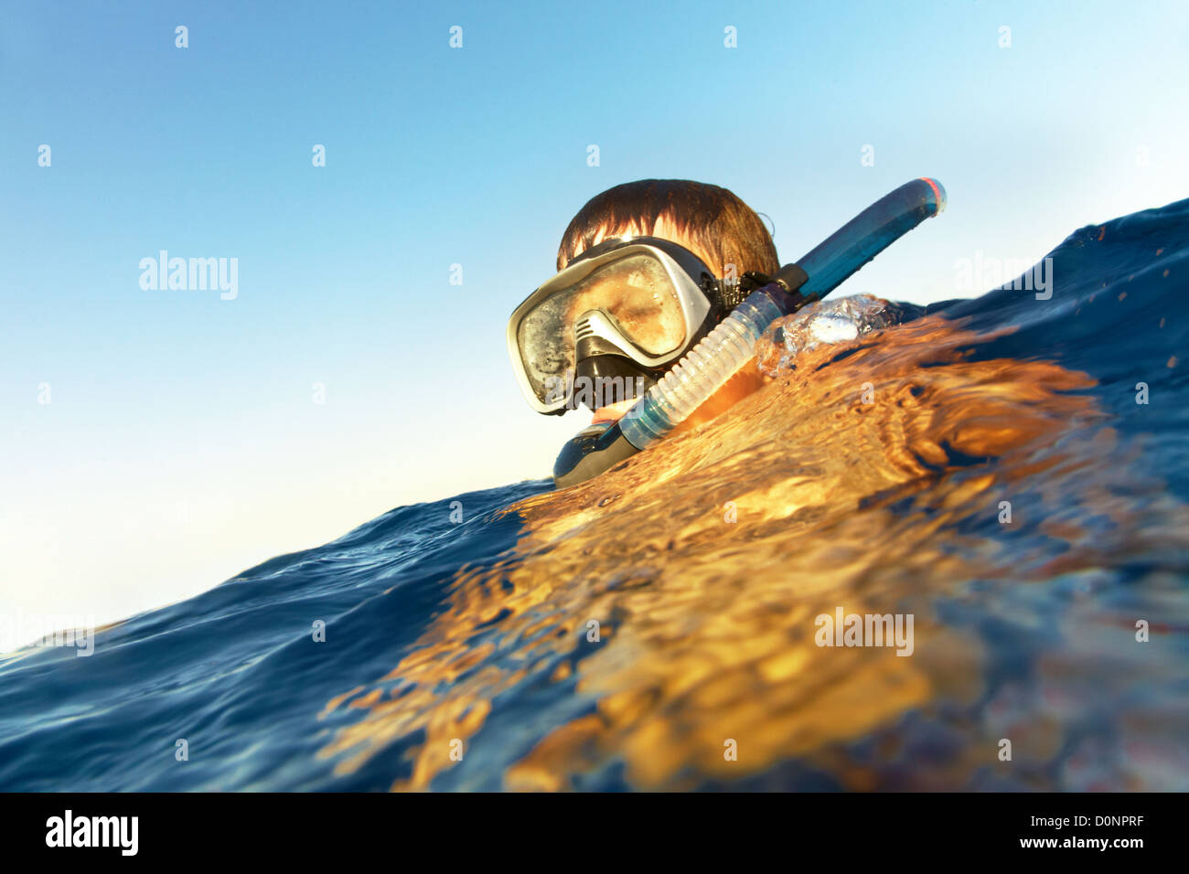 boy floats in the sea Stock Photo Alamy