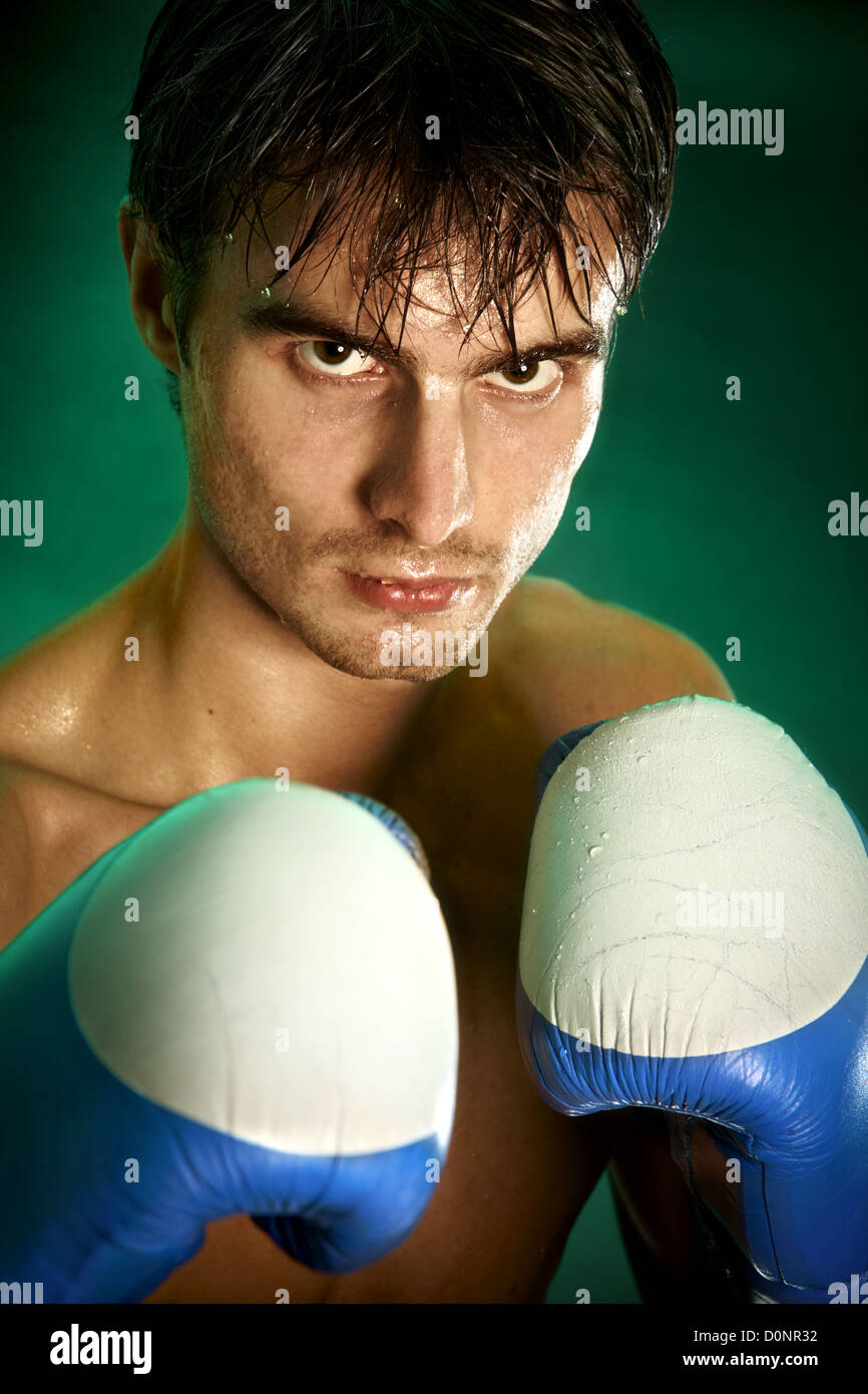 Boxing. Man in boxing gloves Stock Photo Alamy