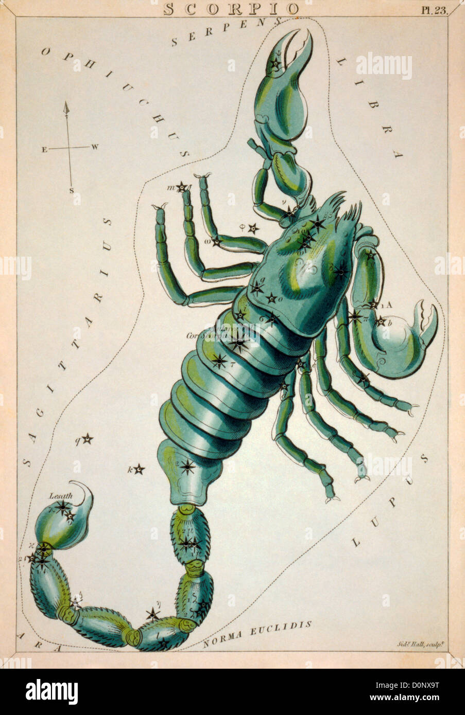 Constellation Card of Scorpius Stock Photo
