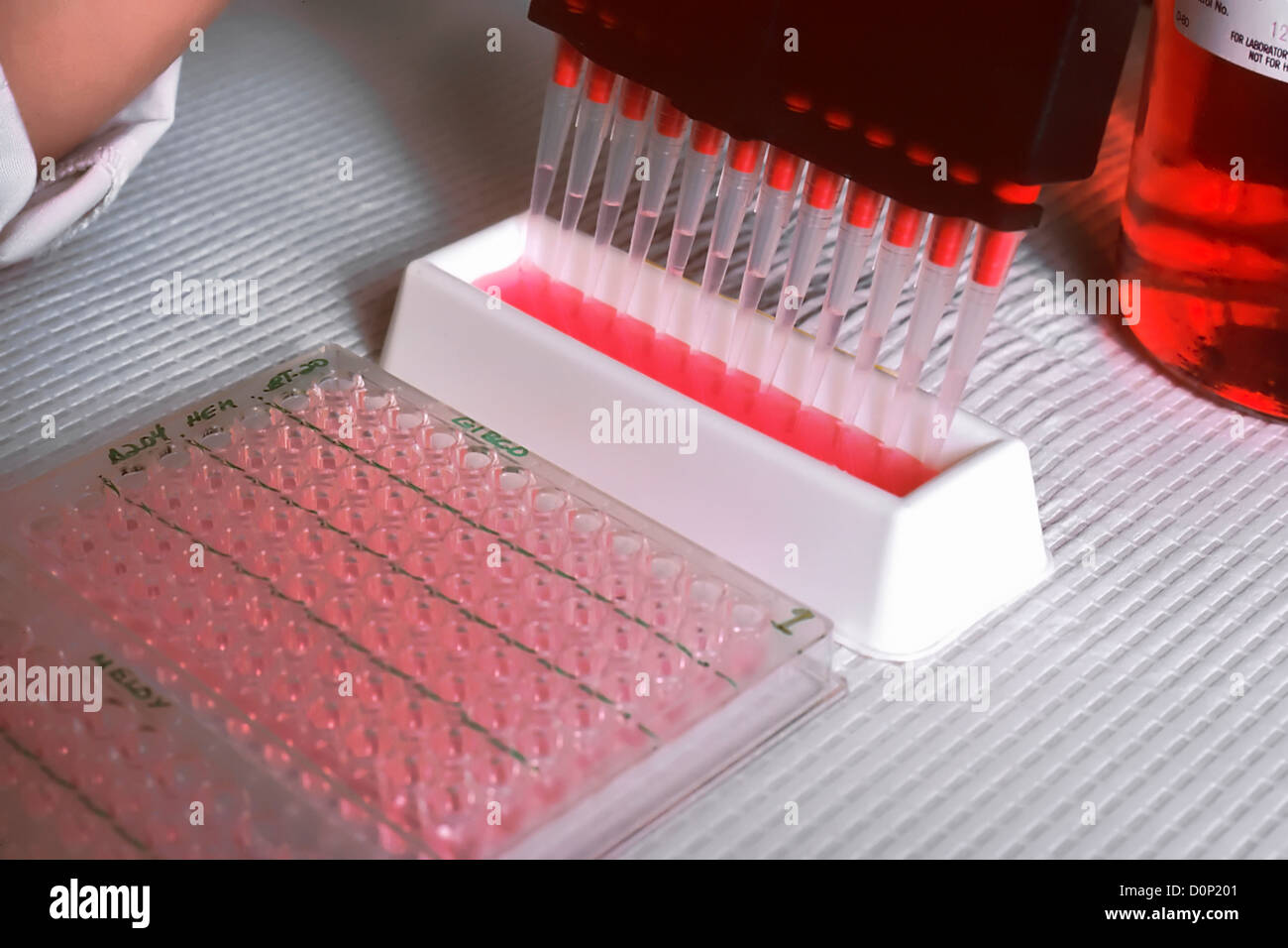 A technician fills wells liquid research test. This test involves