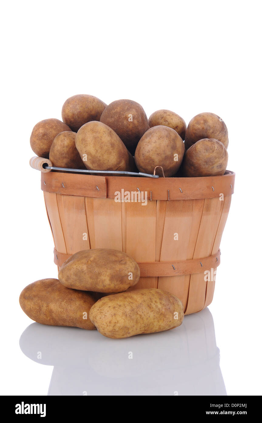 A basket full of russet potatoes with a small pile in front on a white surface with reflection. Vertical format. Stock Photo