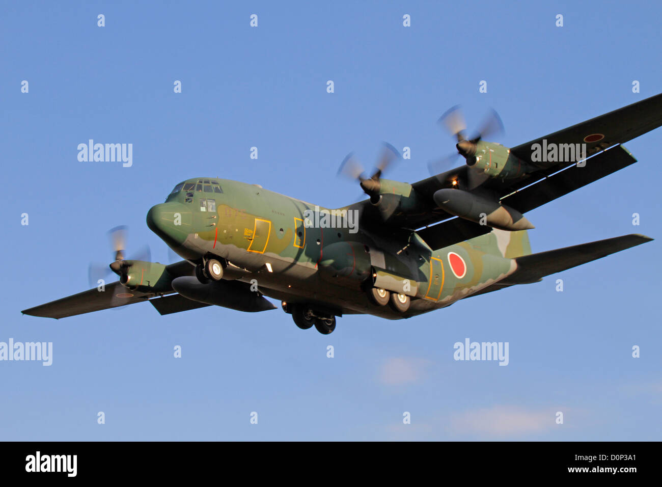 The Lockheed C-130H Hercules of Japan Air Self-Defense Force Stock ...