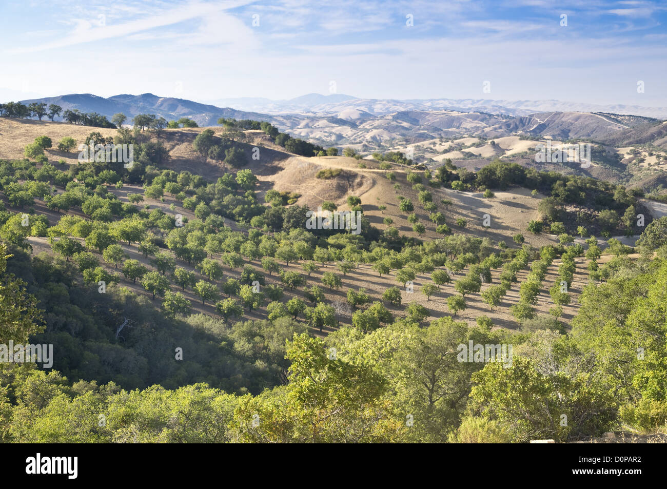 Paso Robles Wine Country Vista Stock Photo Alamy