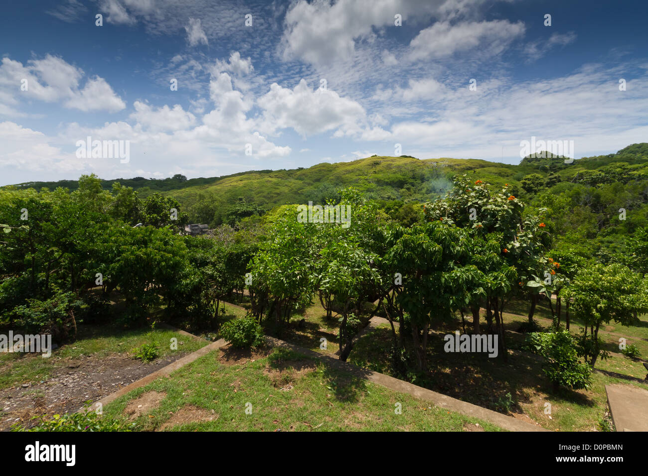 Bali jungle hi-res stock photography and images - Alamy