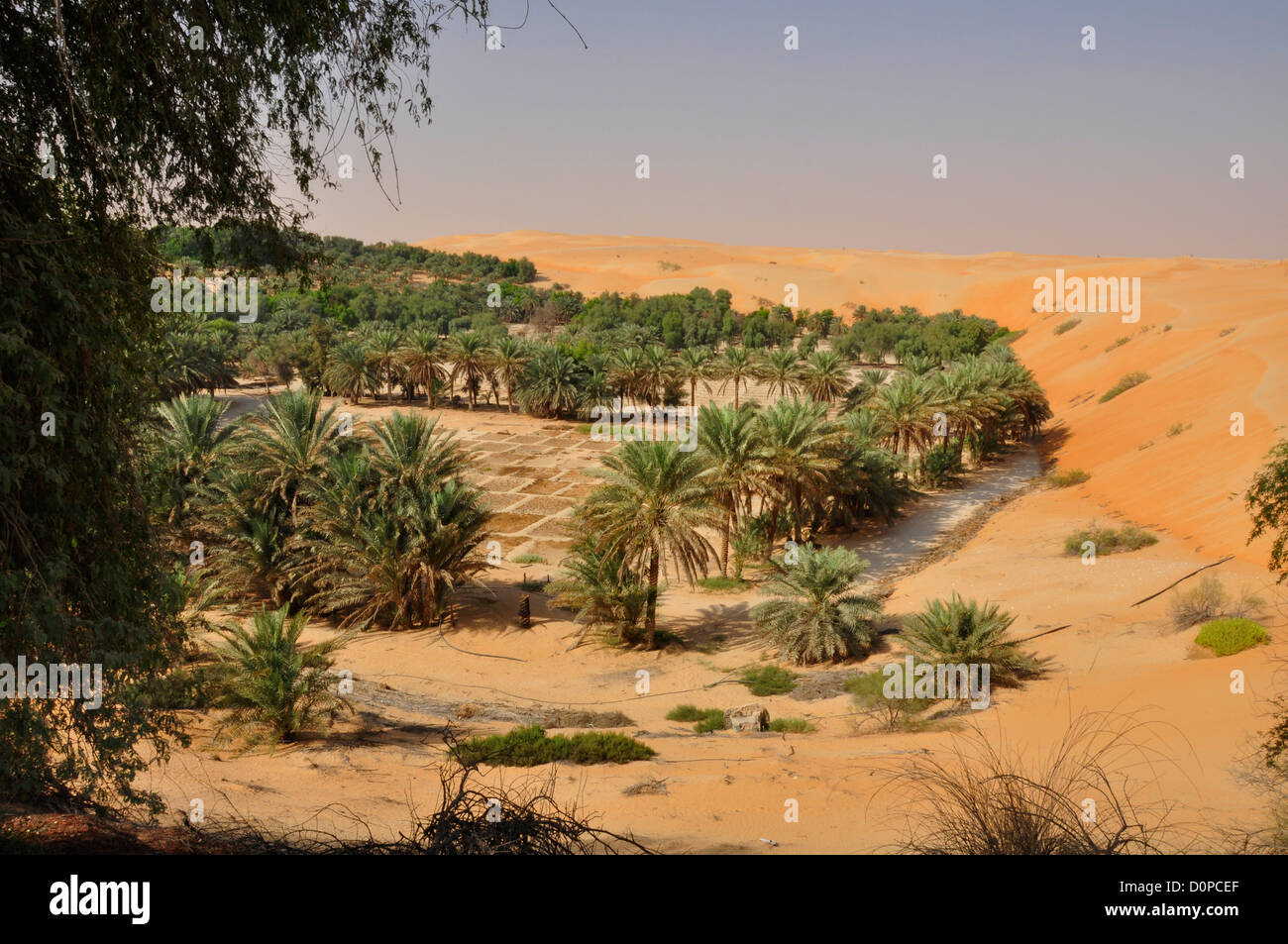 Desert oasis hi-res stock photography and images - Alamy
