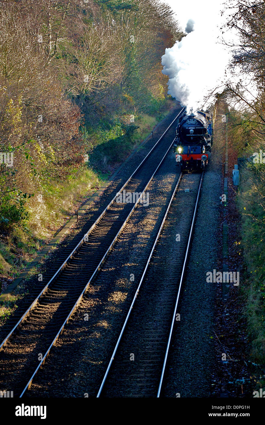 Surrey Hills, UK. In its new blue livery, the 60163 LNER A1 Class 4-6-2 Tornado Steam Locomotive 'Cathedrals Express' Railway Train pictured powering out of the mist under a full head of steam as it accelerates out of Reigate Station, Surrey and speeds through  the Surrey Hills en route from Victoria to Bristol Temple Meads 1050hrs Thursday 29th November 2012 Stock Photo