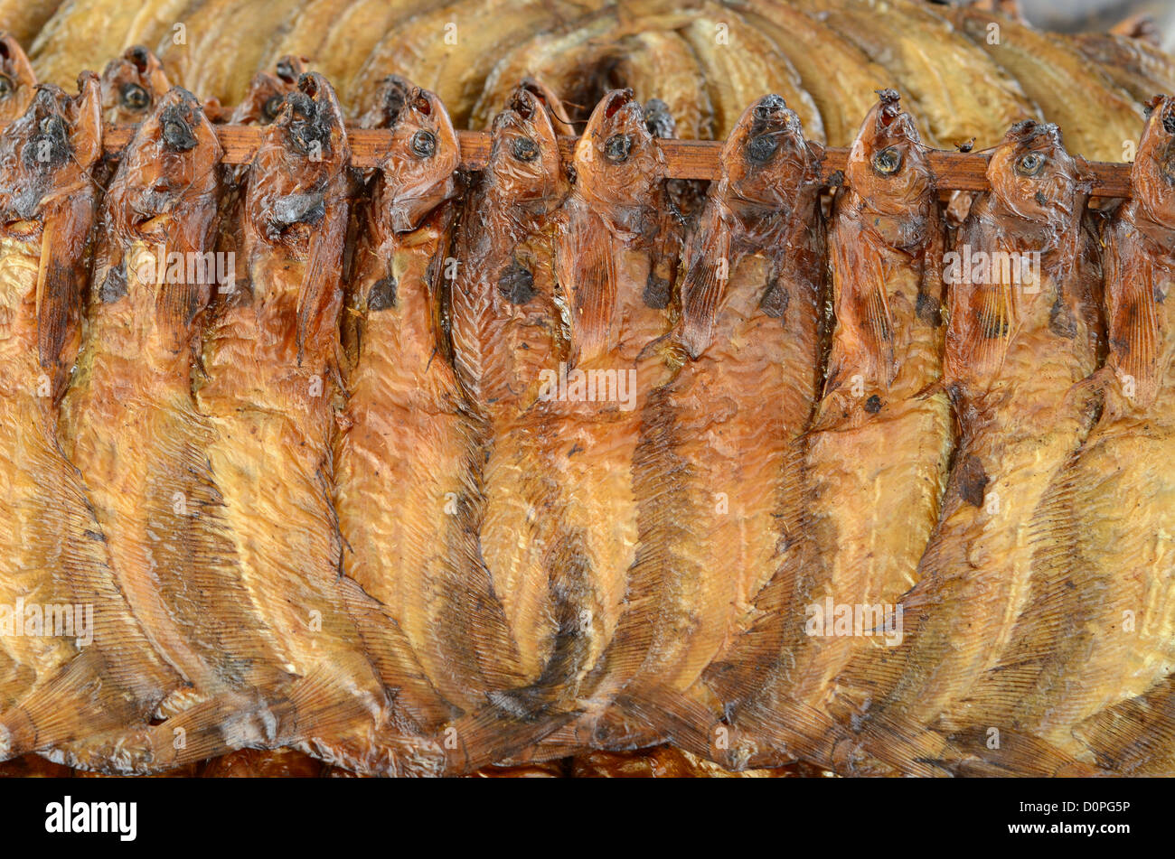 smoked One-spot glass catfish (Ompok bimaculatus) at Thailand market Stock Photo