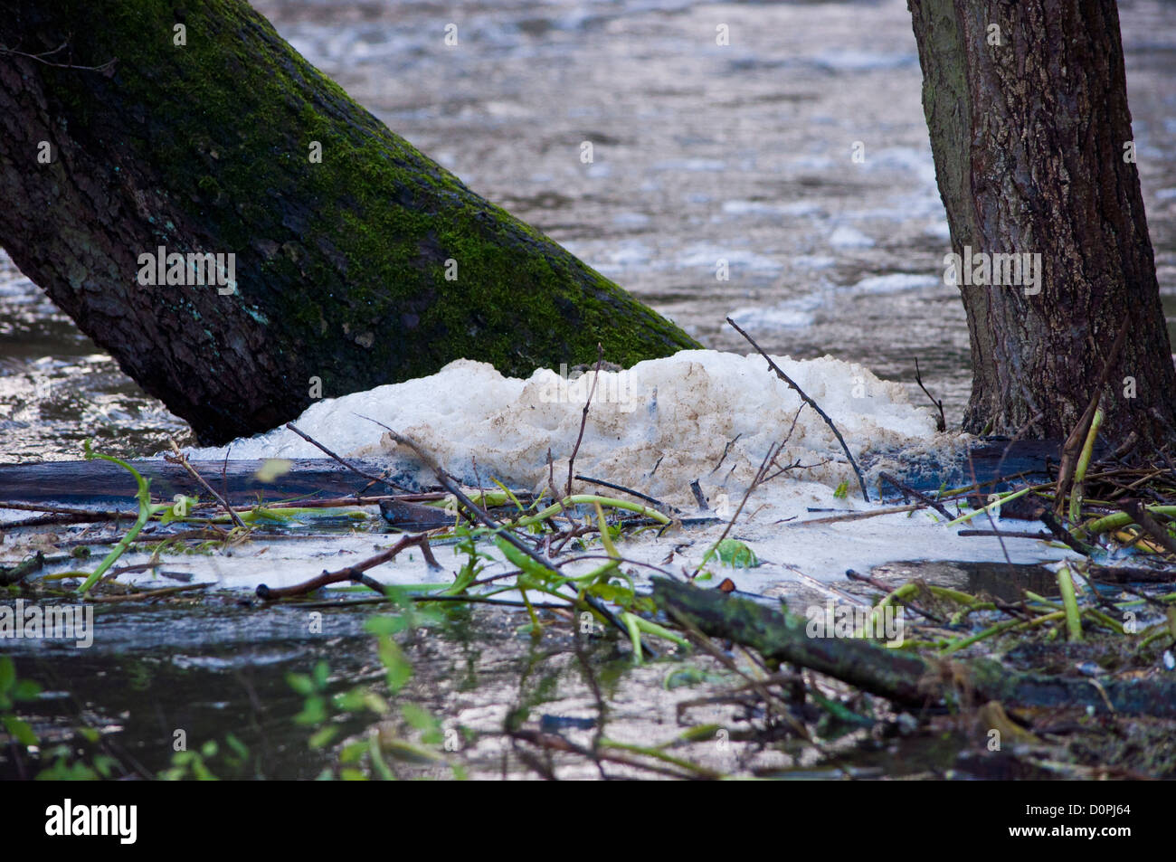 Natural foam in river water Stock Photo Alamy