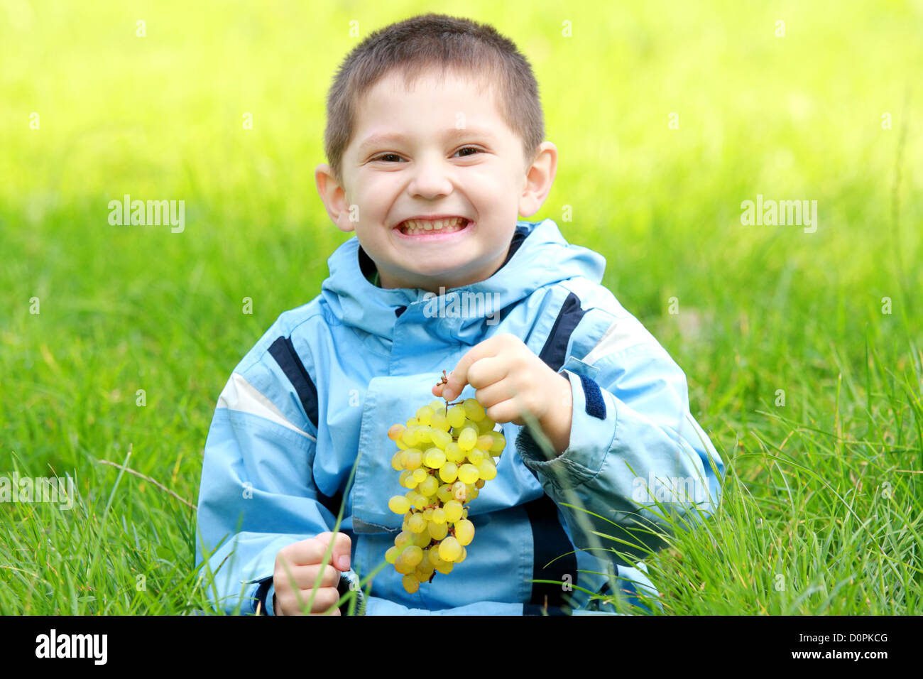 Toothy smiling boy with grapes Stock Photo