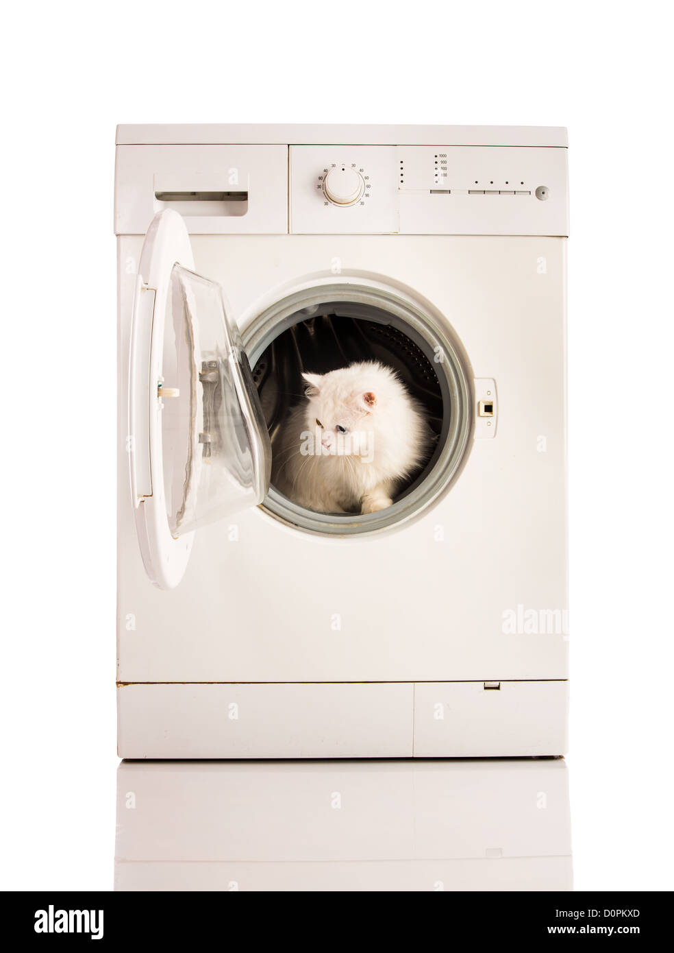 washing machine and cat Stock Photo Alamy