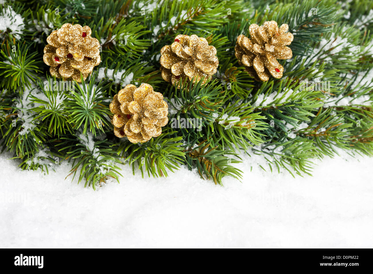 branch of Christmas tree with pinecone Stock Photo - Alamy