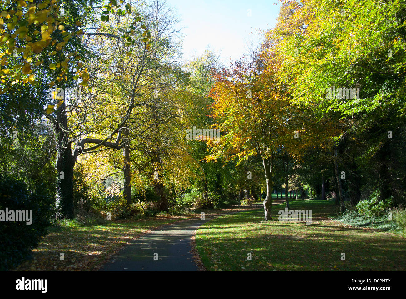 Empty path in Cabinteely Park Dublin Ireland with autumn trees Stock Photo Alamy