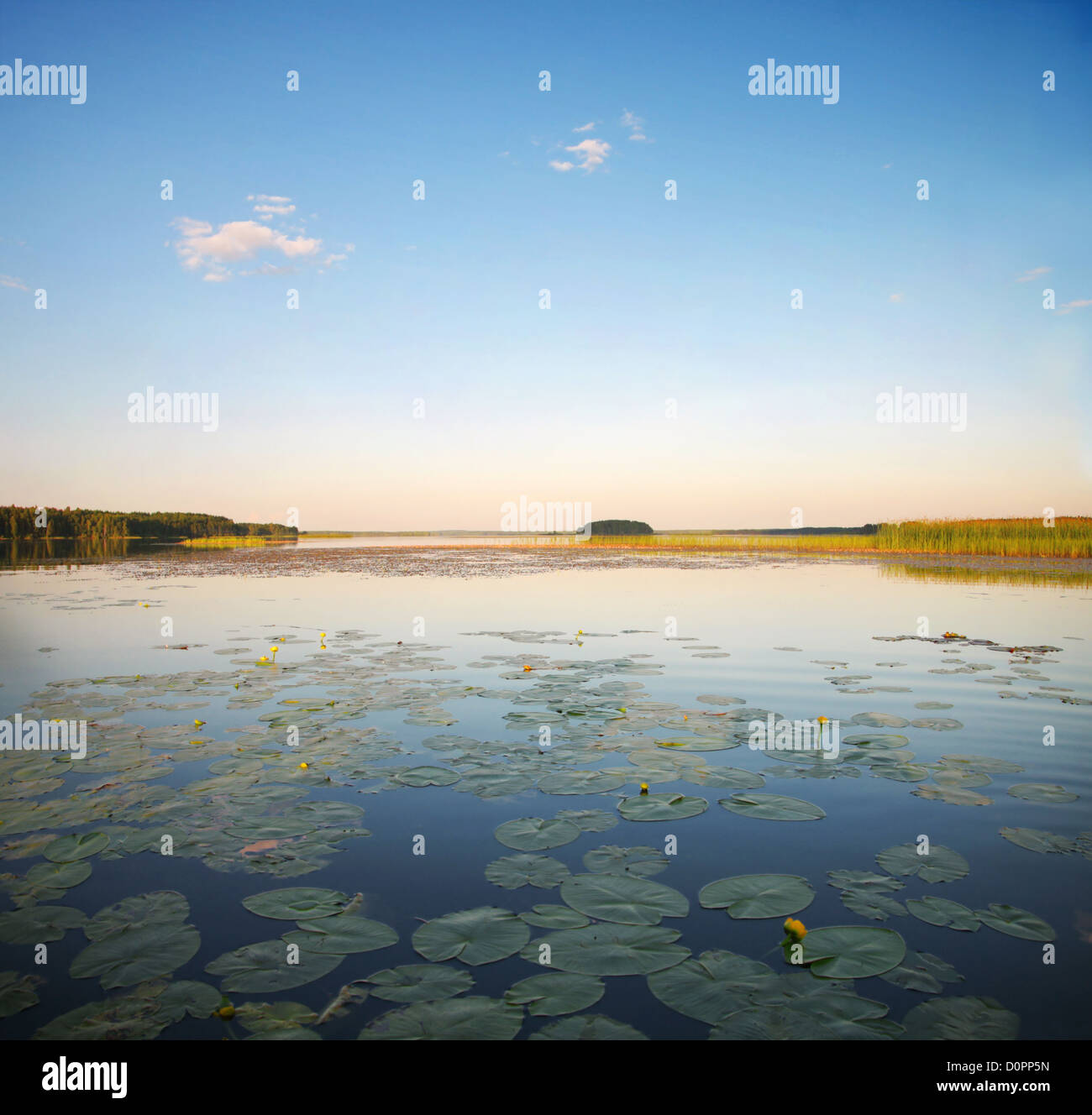 Beautiful landscape lake soft hi-res stock photography and images - Alamy