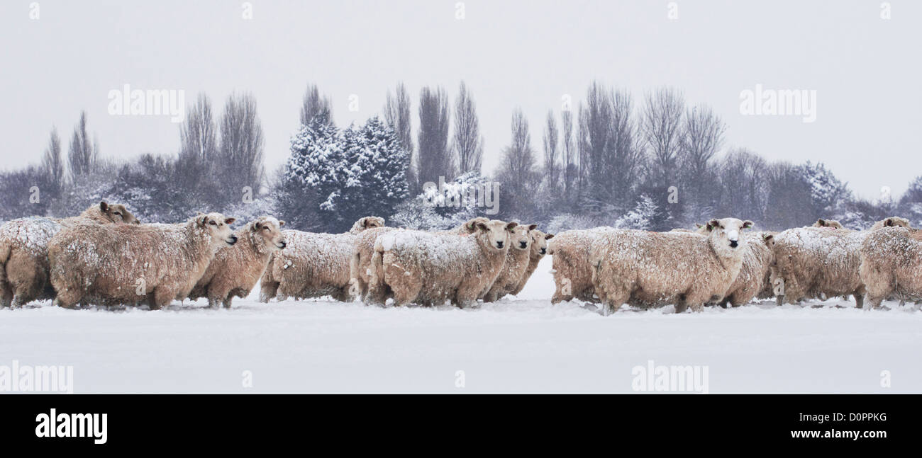 Rye east sussex snow hi-res stock photography and images - Alamy