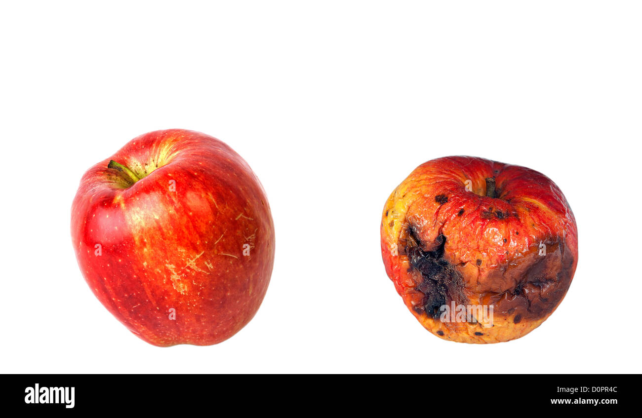 Apple rotting sequence hires stock photography and images Alamy