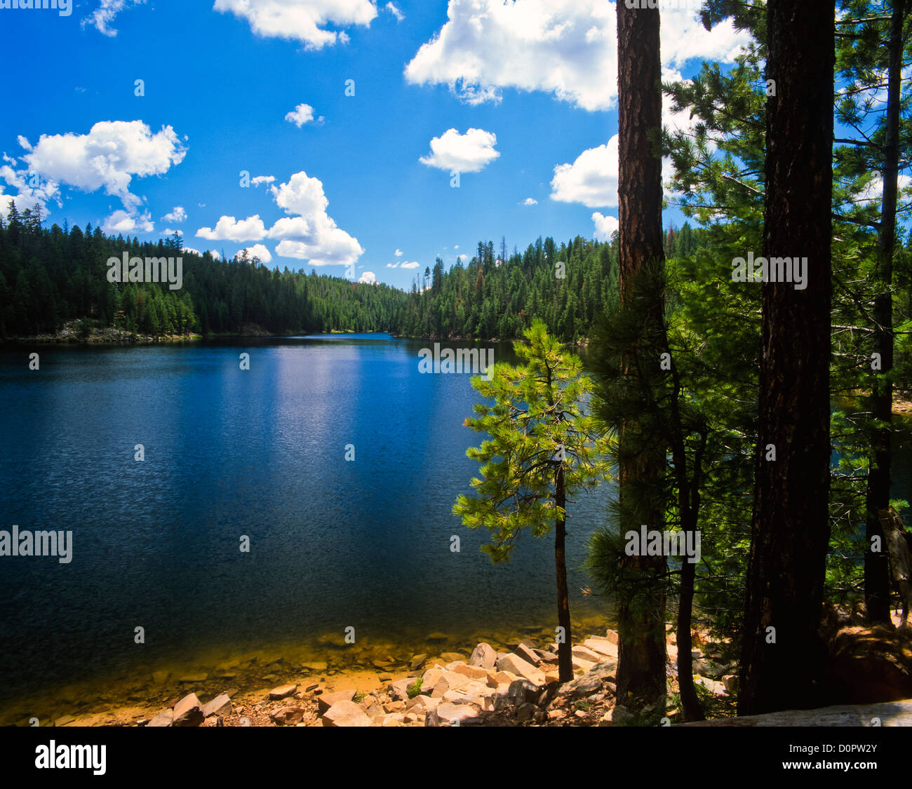 Knoll Lake on the Mogollon Rim. ApacheSitgreaves National Forest