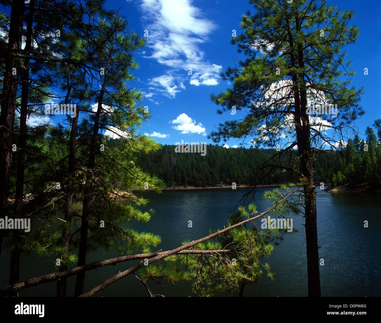 Knoll Lake on the Mogollon Rim. ApacheSitgreaves National Forest