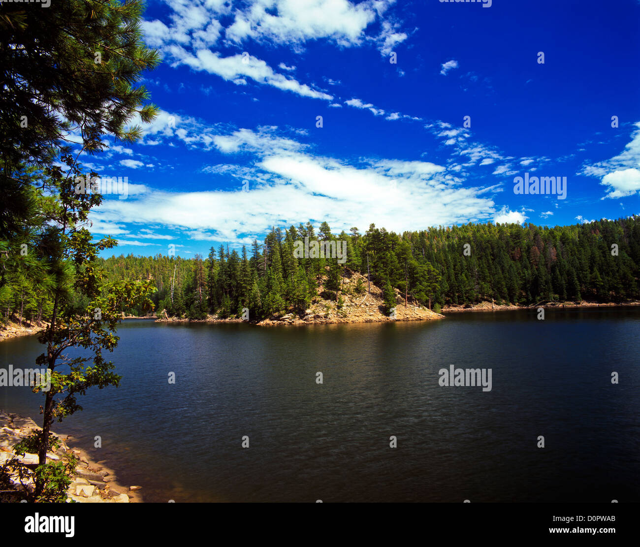 Knoll Lake on the Mogollon Rim. ApacheSitgreaves National Forest