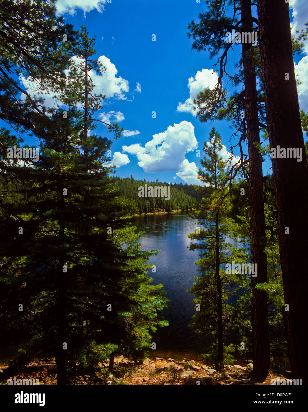 Knoll Lake on the Mogollon Rim. ApacheSitgreaves National Forest