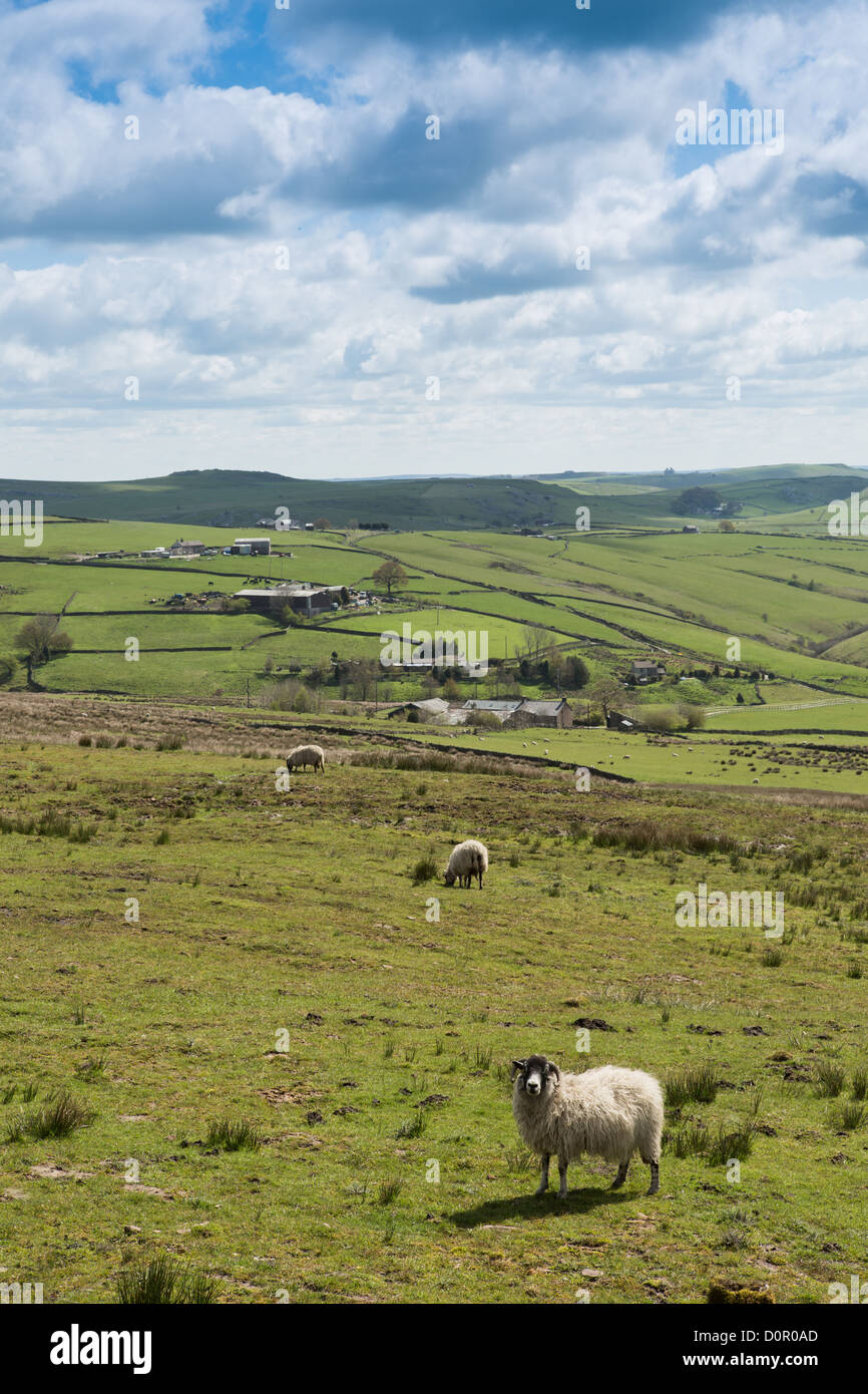 Landscape from Flash Village near Buxton, on the Staffordshire
