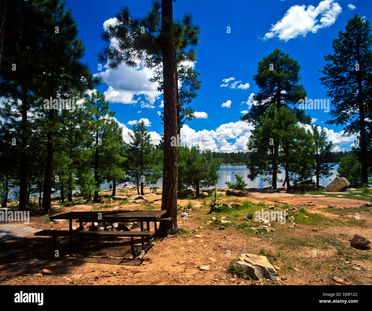 Willow Springs Lake on the Mogollon Rim. ApacheSitgreaves National
